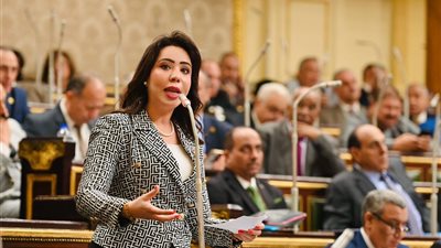 نائبة التنسيقية تعلن موافقتها على الحساب الختامي.. وترصد الإيجابيات والسلبيات