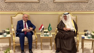 الري توجه دعوة للسعودية للمشاركة في المشروع الإقليمى في مجال التحلية