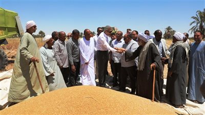 محافظ أسوان يعلن بدء موسم حصاد محصول القمح بمشروع وادي النقرة