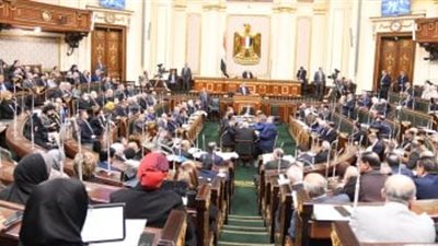 وزير الزراعة : 3 مليار جنيه لحل أزمة صرف مستحقات مزارعي القطن