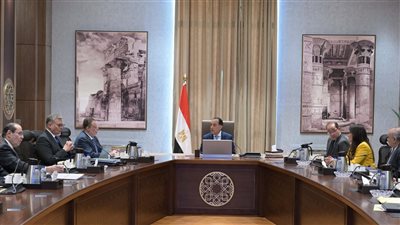 رئيس الوزراء يتابع موقف سداد مستحقات الشركاء الأجانب فى قطاع البترول