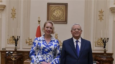 لانهاء النزاع الفلسطينى الإسرائيلى .. توافق «مصرى - سلوفيني» على حل الدولتين 