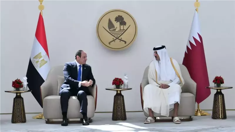 الرئيس السيسي ونظيرة
