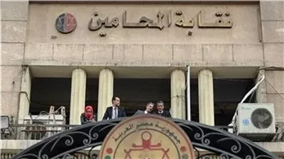 قبل إضراب اليوم.. وكيل نقابة المحامين: نُتابع مدى الالتزام بتنفيذ القرار |خاص