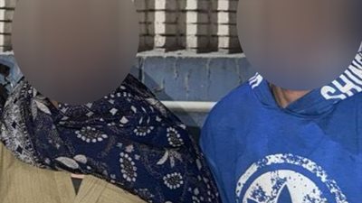 تعذيب حصان على يد صاحب عربة كارو في القاهرة.. القبض على المتهمين 