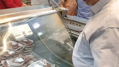 في حملة تموينية.. ضبط 2 طن لحوم ودواجن وأسماك فاسدة بالشرقية 