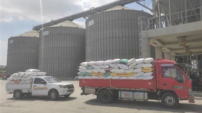 صوامع الشرقية تستعد لتوريد القمح المحلي لعام 2025 بسعة تخزينية 700 ألف طن