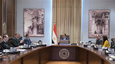 «لتعزيز القيم وحرية التعبير» الثقافة: نسعى لاستكمال تشكيل لجنة الدراما  