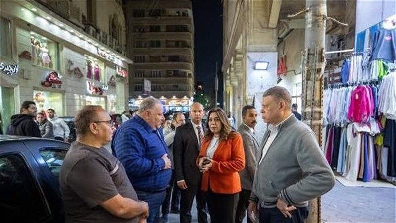 وزير التنمية المحلية