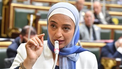 أميرة أبوشقة: مشروع الحكومة لقانون الإيجارات القديمة يحمل ثغرات قانونية واضحة