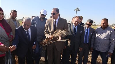 محافظ سوهاج يتفقد موسم حصاد القمح لعام 2025 ويؤكد دعم المزارعين |صور
