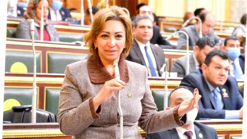 النائبة مها عبد الناصر