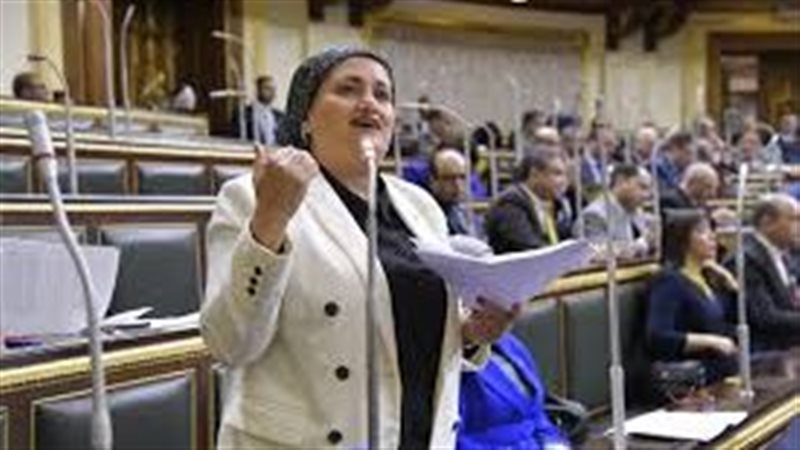 النائبة سناء السعيد
