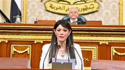 «التخطيط»: 8.5 مليار دولار صادرات رقمية.. وزيادة أبراج الشبكات إلى 40 الف برج