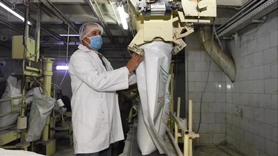 تعرف على مراحل عصر القصب وتحويله لسكر في مصانع نجع حمادي بقنا |فيديو