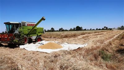 محافظ أسوان يتابع توريد واستلام 3334 طن من القمح بصومعة المفالسة بإدفو