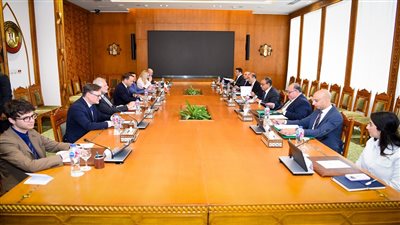 وزير الخارجية: مصر وهولندا في توافق حول الأوضاع في غزة | فيديو