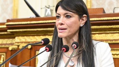 المشاط: 100 مليار جنيه استثمارات لقطاع الكهرباء وإنشاء 10 ألف وحدة سكنية جديدة