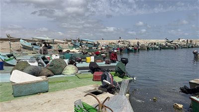 بعد منع 3 شهور.. افتتاح موسم الصيد في بحيرة البردويل 26 أبريل الجاري