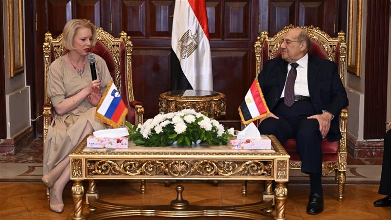 المستشار عبد الوهاب