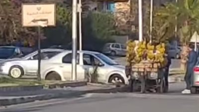 فيديو متداول لبائع متجول يثير الجدل بالقاهرة.. والداخلية تكشف التفاصيل