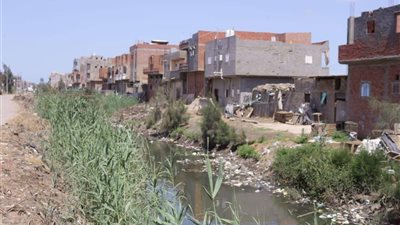 المخلفات تغطي ترعة البدراوي في دمياط.. وتهدد المحاصيل الزراعية بالخطر |صور