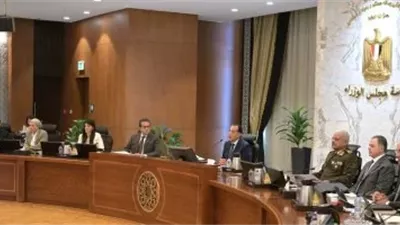 الوزراء: زيادة قيمة المنح الدورية للعمالة غير المنتظمة لتصبح 1500 جنيه