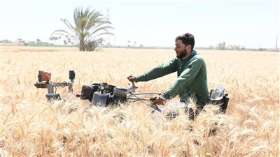محافظ الفيوم يفتتح موسم حصاد القمح في المحافظة |صور