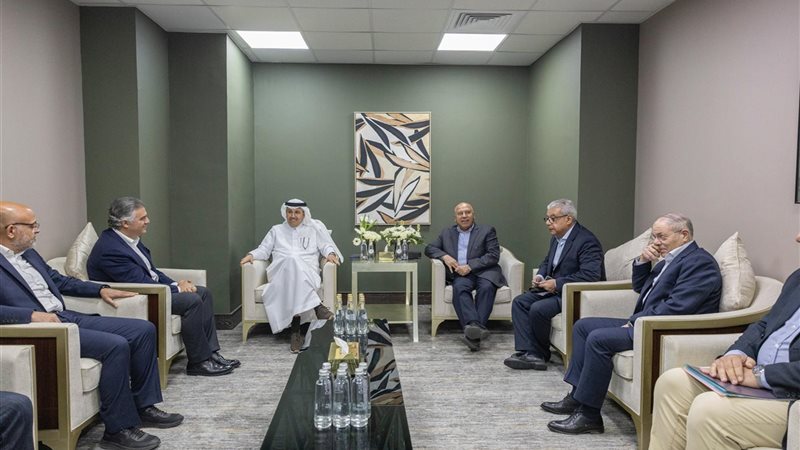 كامل الوزير 