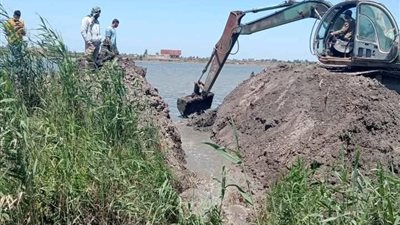 إزالة 7 مزارع سمكية مخالفة بمساحة 56 فدانًا جنوب بورسعيد |صور