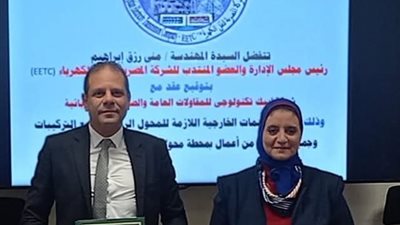 مصر تعزز شبكة الكهرباء باتفاق جديد لمحطة S4 لدعم مشروعات الرياح بخليج السويس