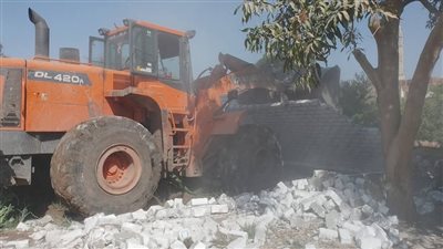 الموجة الـ 25.. إزالة 397 حالة تعدٍ على أملاك الدولة في المنيا 