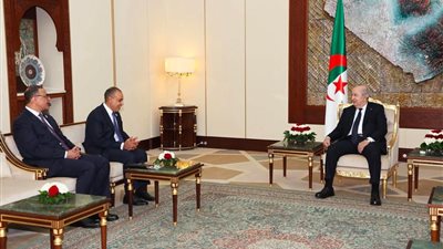 وزير الخارجية يسلم «تبون» رسالة من الرئيس السيسى  