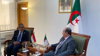 وزير الخارجية يستعرض تقدم مصر في صناعة الدواء مع وزير الصناعة الجزائري