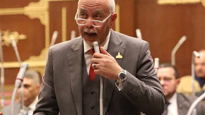 حازم الجندي: كلمة السيسي تؤكد إدراك مصر لتحديات إفريقيا وتطرح حلولاً عملية