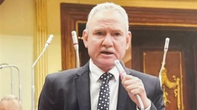 بعد قرار خفض سعر الفائدة.. برلماني لـ