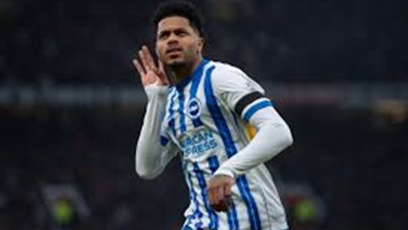 جورجينو روتر