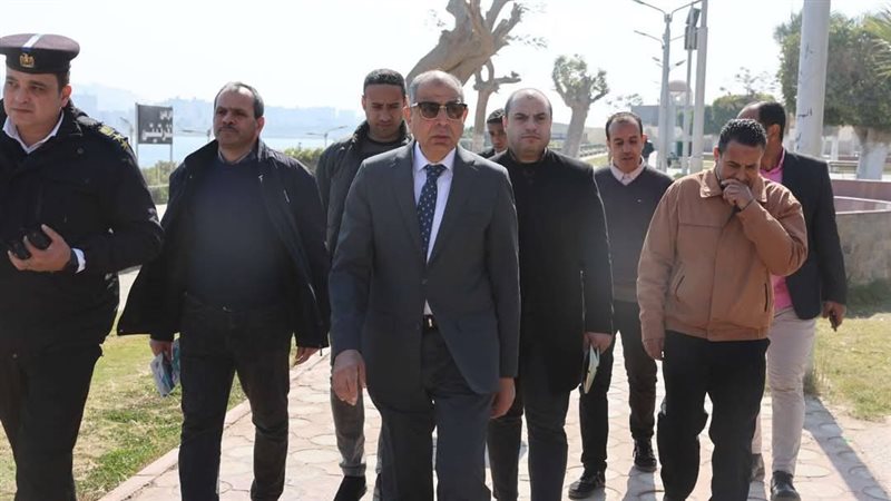 محافظ المنيا