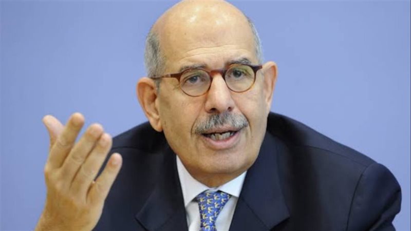 الدكتور محمد البرادعي