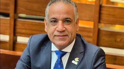 رجال الأعمال المصريين الأفارقة : نسعى لفتح آفاق جديدة للتجارة بين مصر والنيجر 