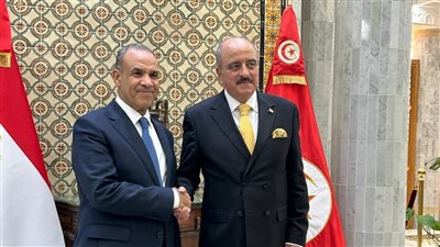 وزير الخارجية والهجرة يعقد جلسة مباحثات مع نظيره التونسي