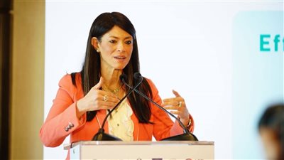 «التخطيط»: ضخ 154 مليون دولار في المرحلة الأولى من التمويل الأخضر لـ 130 مشروع