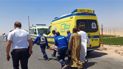 8 وفيات و25 إصابة.. محافظ المنيا ينعى ضحايا استغلال أصحاب ربع نقل للمواطنين