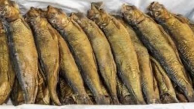 تعرف على أسعار الفسيخ والرنجة والسردين قبل شم النسيم بالدقهلية