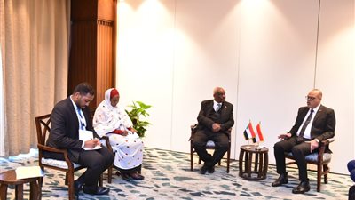 مصر والسودان تتفقان على تعزيز التعاون في التدريب المهني وتطوير الكوادر المدربة