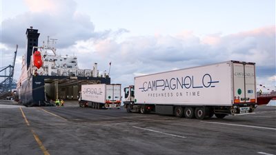 ميناء دمياط يستقبل 1400 رأس ماشية خلال الـ 24 ساعة الماضية