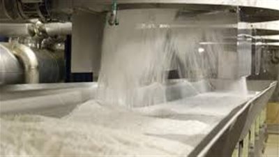 «الزراعة»عن زيادة انتاج محصول قصب السكر والبنجر: لا حاجة للاستيراد