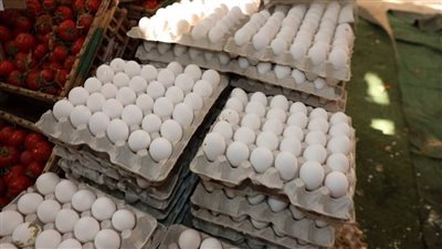 فرحة شم النسيم بأسعار زمان.. محافظ المنيا يطرح كرتونة البيض بـ 120 جنيها