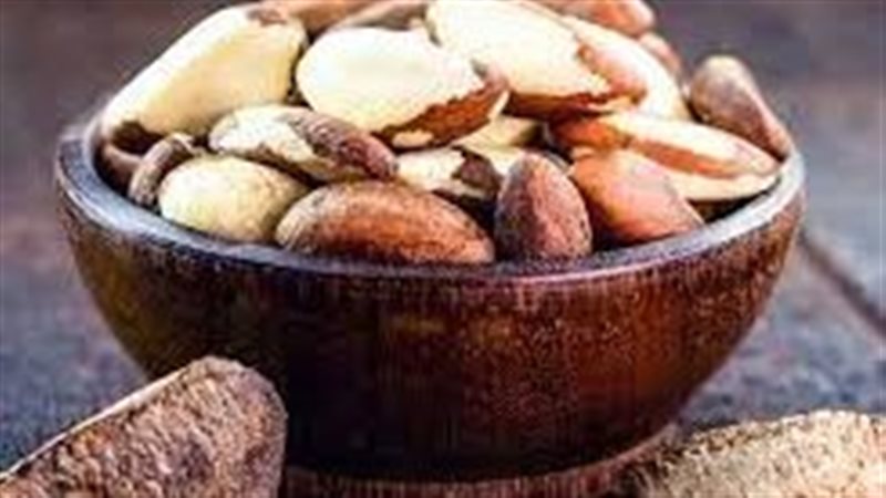 جوز البرازيل