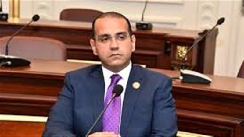 المهندس محمد المنزلاوى
